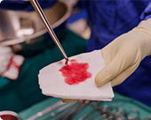 Естествен състав